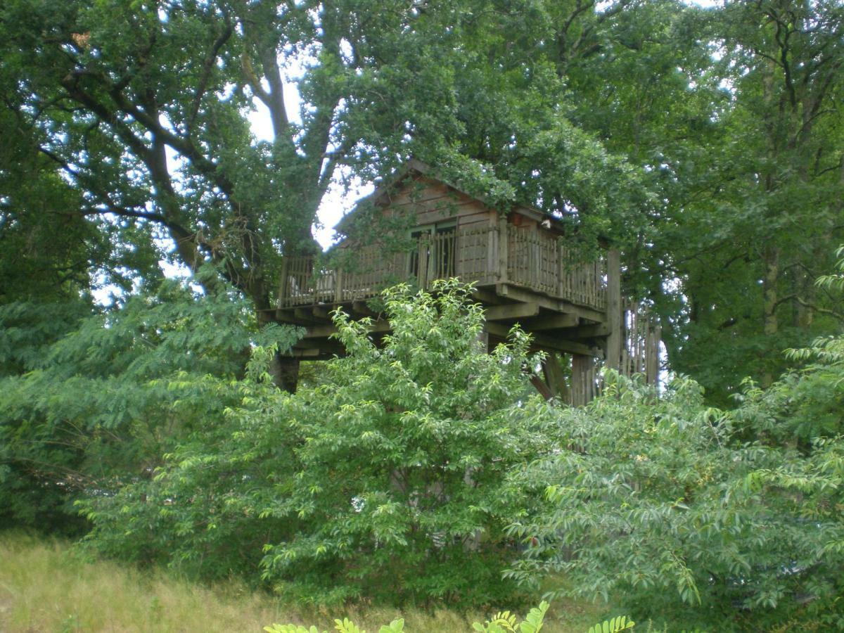 Cabane Perchee Solférino Kültér fotó
